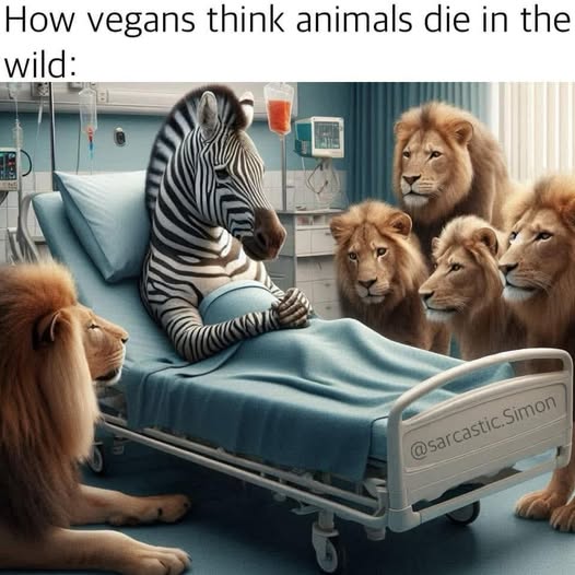 ridiculous vegan ideas