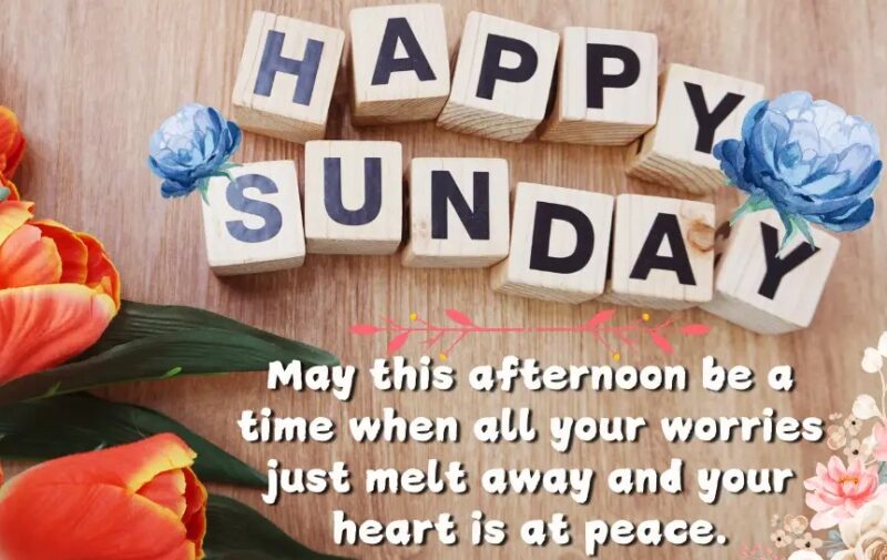 Happy Sunday afternoon1