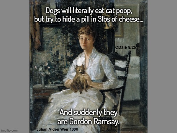 dogs eat cat shit