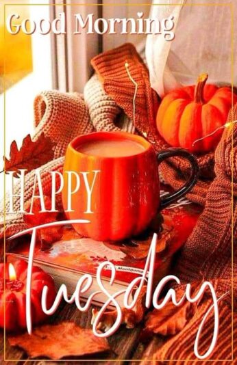 Happy Tuesday Fall