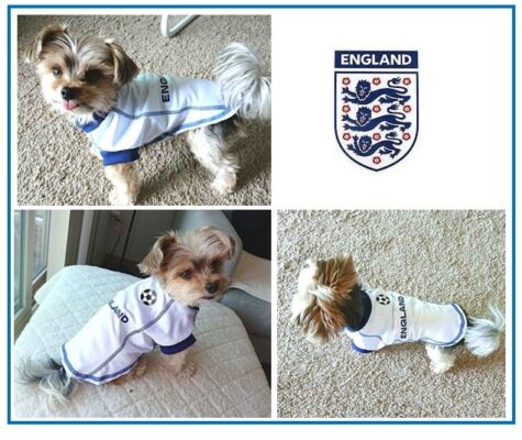Koko 2026 England FIFA