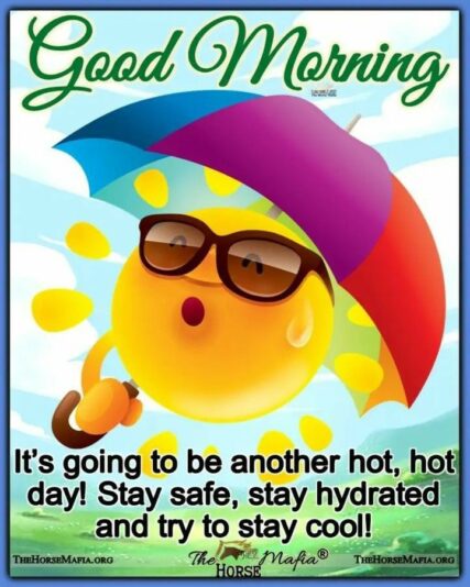 Good Morning another hot day