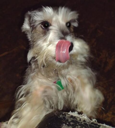 want a snack