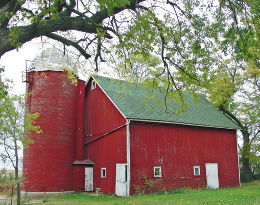 THE BARN_face26