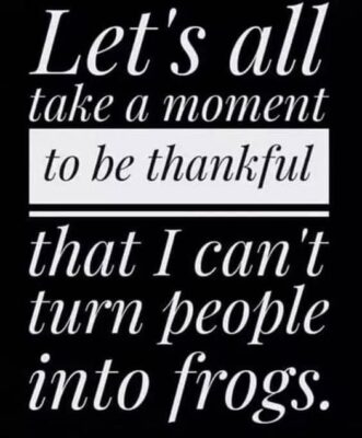 frogs4211_n