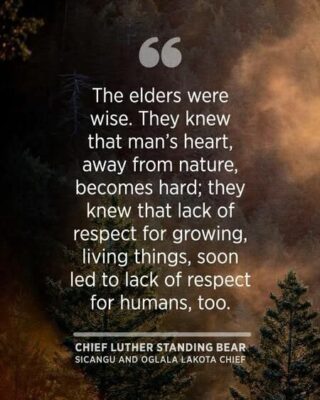 687968089_1445269907401185_1939877153648291143_nlakota