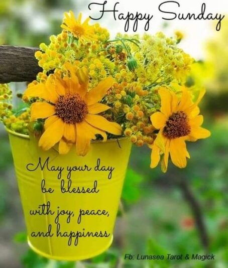 Happy Sundaty 1