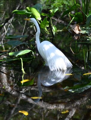 DSC_0688 (2)