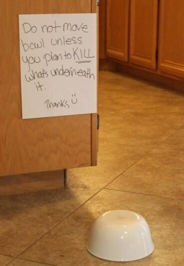 Do-not-move-bowl