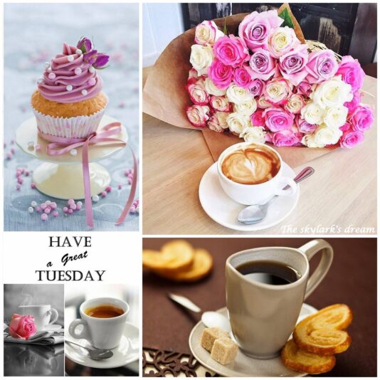 Hello Tuesday flowers