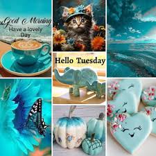 Hello Tuesday collage