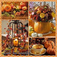 Happy Tueday Fall