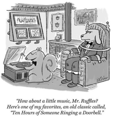 Mr ruffles