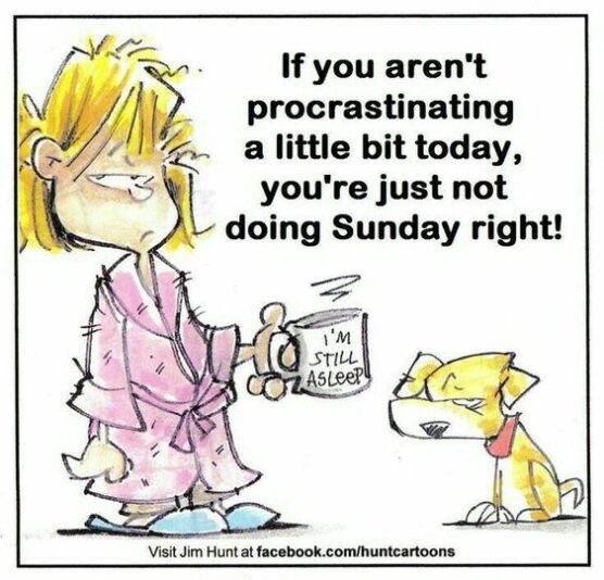procrastinating sunday do right