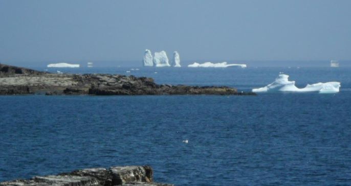 ICEBERGS DOWNSIZED