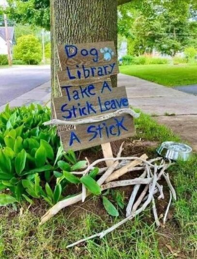 dog library