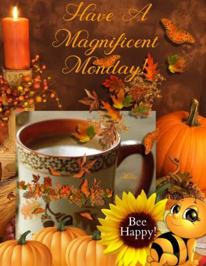 Monday fall