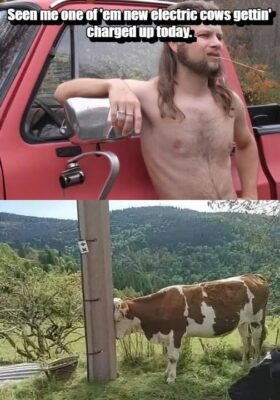electric cow charging