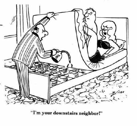 Neighbour