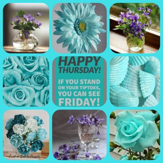 Good Morning Thursday collage 2