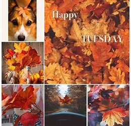 Happy Tuesday Fall