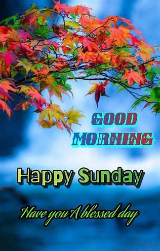 Good Morning have a blessed Sunday