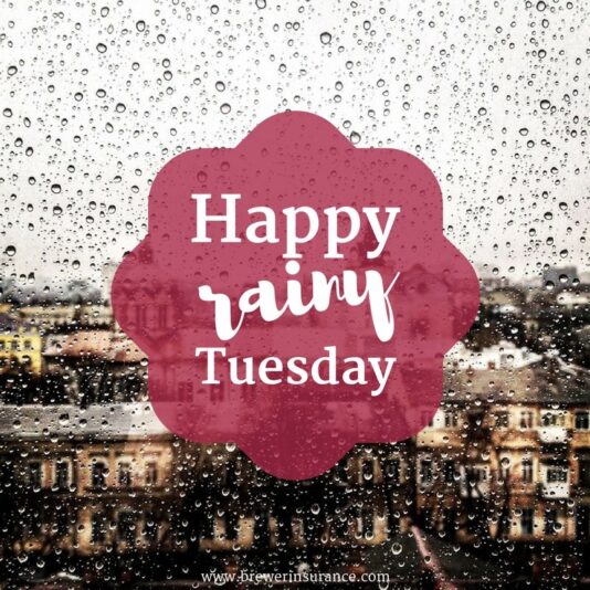 Happy Rainy Tuesday