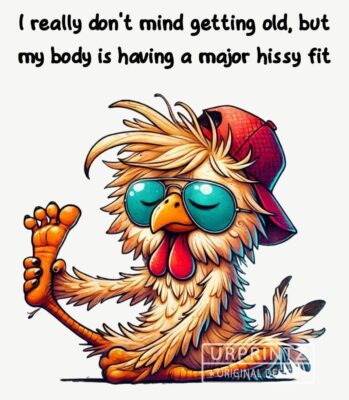 fun group body hissy fit