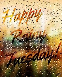 Happy Rainy Tuesday 2