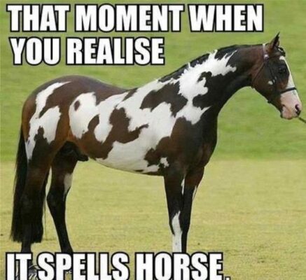 13-moment-you-realized-meme-awkward-funny