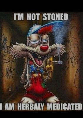 Im not stoned herbaly medicated