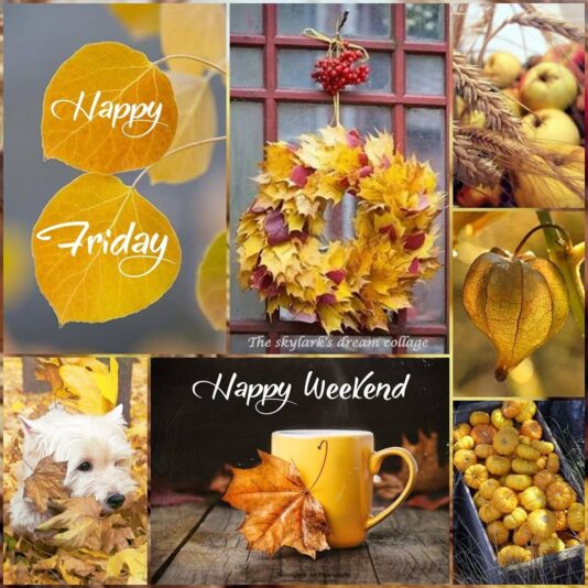Happy Friday Fall