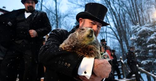 ground hog day 2022