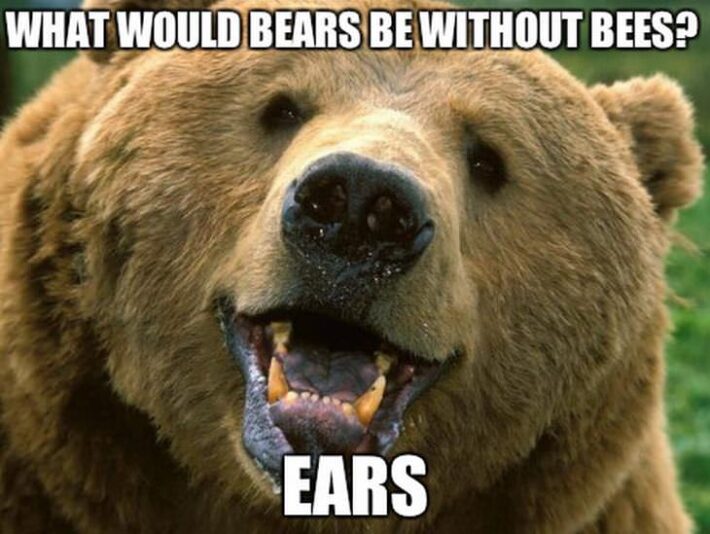 bear joke