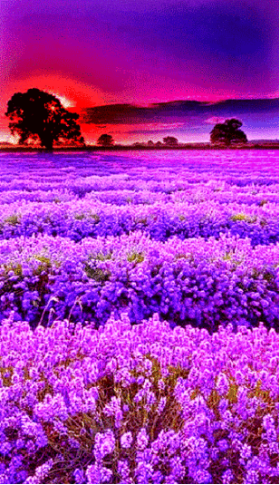 A077A7B1-1377-424E-8557-77E529F76CD9
