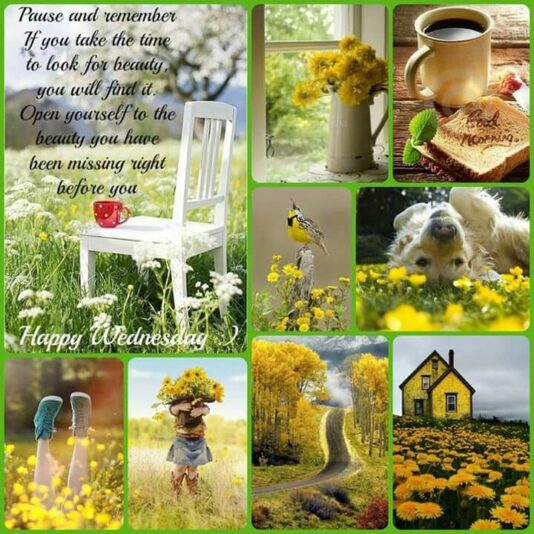 Good Morning Wednesday collage 2