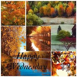 Happy Wednesday fall
