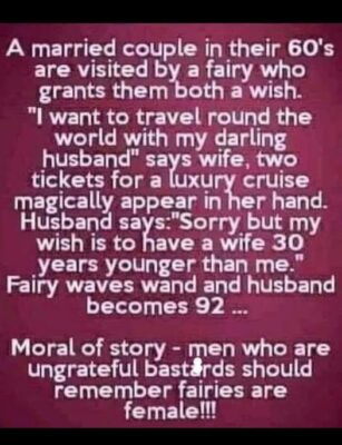ironic fairy