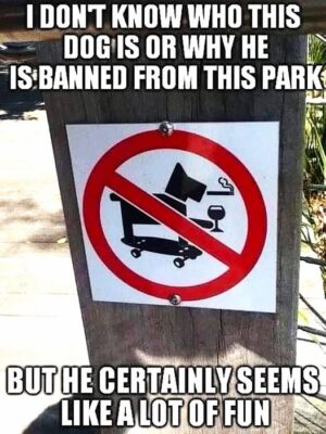 banned dog
