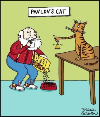 pavlov's cat