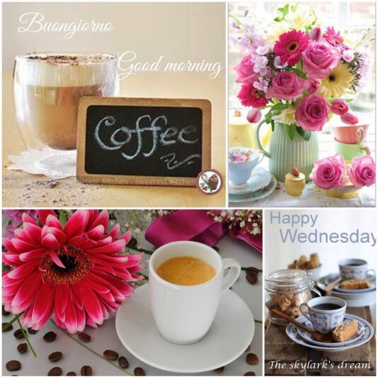 Happy Wednesday collage