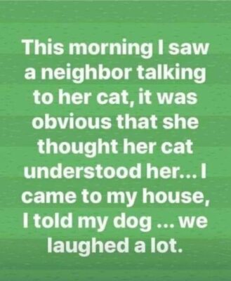 fun group neighbousr talking to her cat