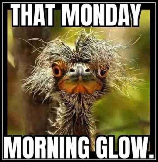 that Monday glow