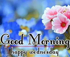Good Mornning Wednesday 1