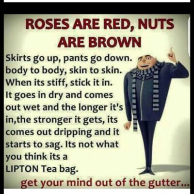 fun group roses are red nuts are brown