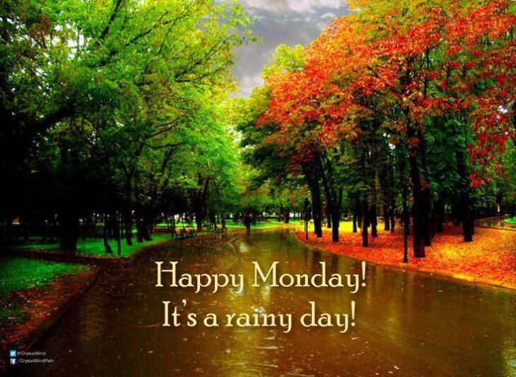 Rainy Monday fall