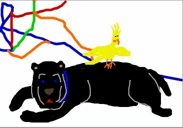 sterlingdoodle