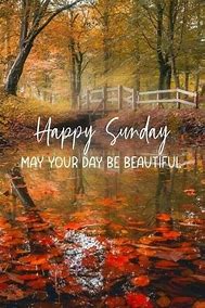 Happy Sunday fall 3