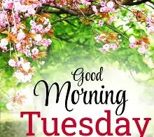 Good Morning Tuesday 2