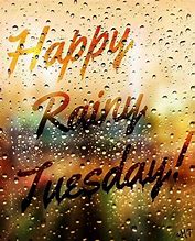 Happy Rainy Tuesday